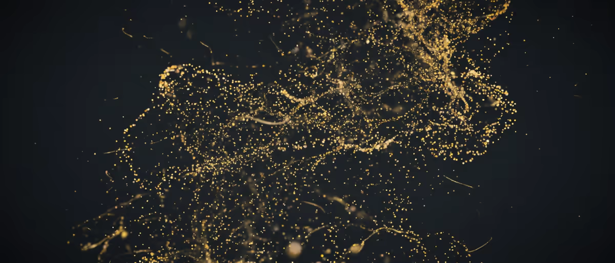 Soundtoys SpaceBlender: imaginary space, niet v2 (2026)