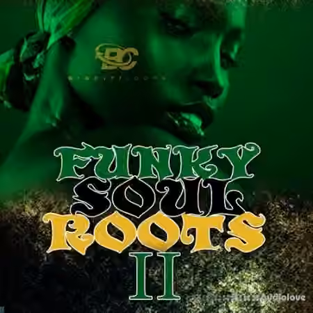 Big Citi Loops Funky Soul Roots 2 [WAV, MiDi]