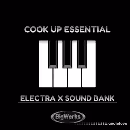 BigWerks Cook Up Essentials [Synth Presets]