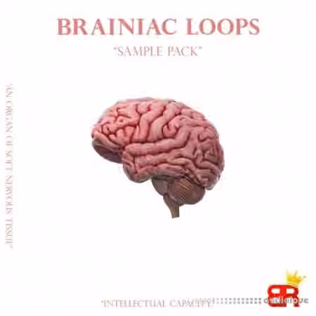 Brown Royal Brainiac Loops [WAV]