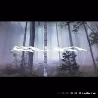 Filipmakesbeats Airlock Polykit [WAV]