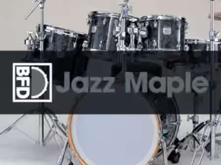 inMusic Brands BFD Jazz Maple Bonus Cymbals [BFD3]