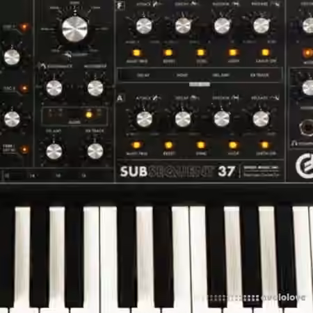 Looma Moog Sub37 Oneshot Sample Pack [WAV]