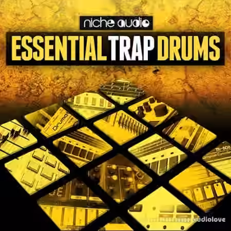 Niche Audio Essential Trap Drums [Ableton Live]