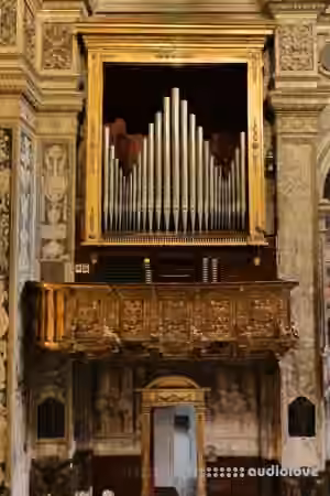 Sonus paradisi Piacenza Organo di Padre Davide [Hauptwerk]