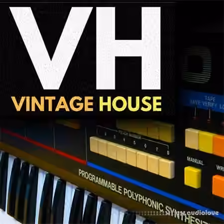 Studio Slave Vintage House [WAV]