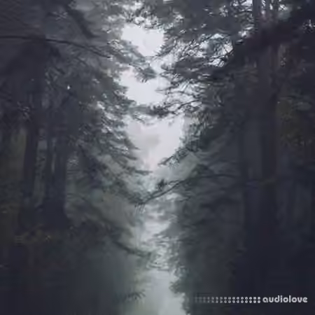 Tontario Second Nature [WAV]