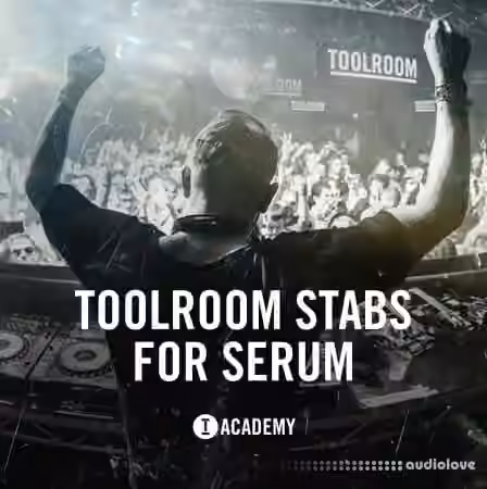 Toolroom Stabs For Serum [Synth Presets]