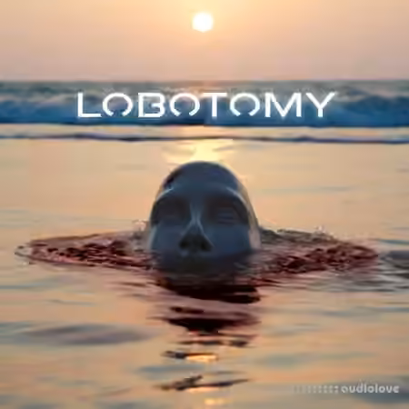 VGNs Components of a Lobotomy [WAV, MiDi, Synth Presets]