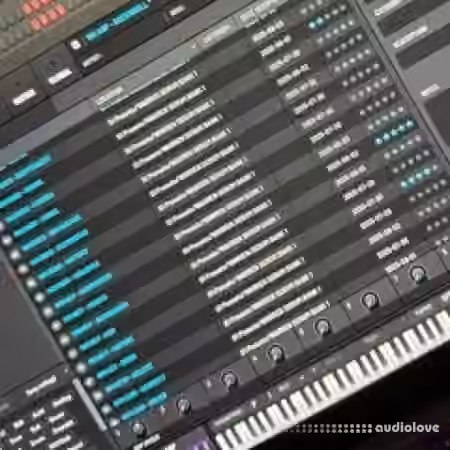 Warren Hunter Serum Bank 1 Serum 2 Presets [Synth Presets]